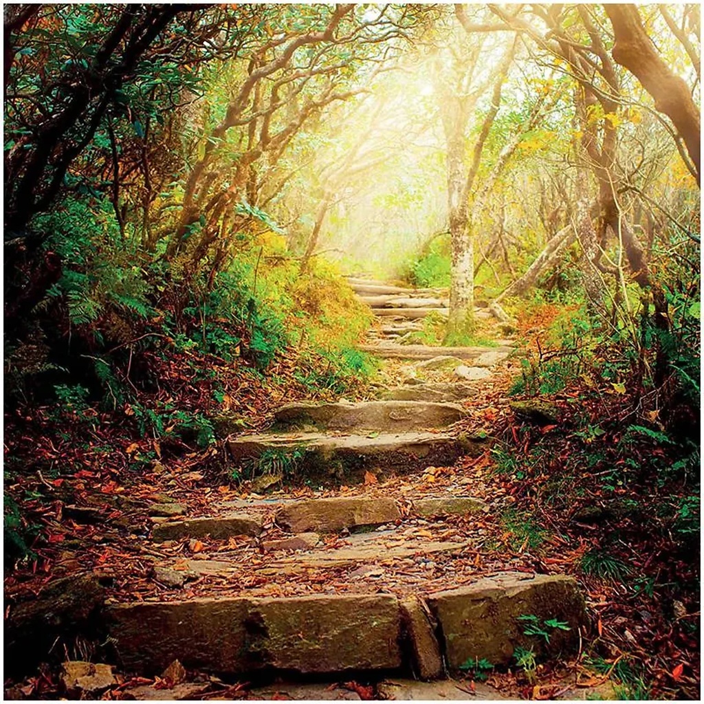 Carte de Voeux The road ahead | 14x14 cm