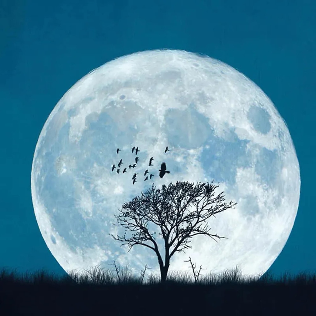 Cartes de voeux Pleine lune | 14x14 cm