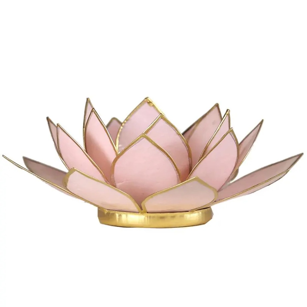 Eclairage ambiance Lotus rose pastel bord or | 13.5 cm