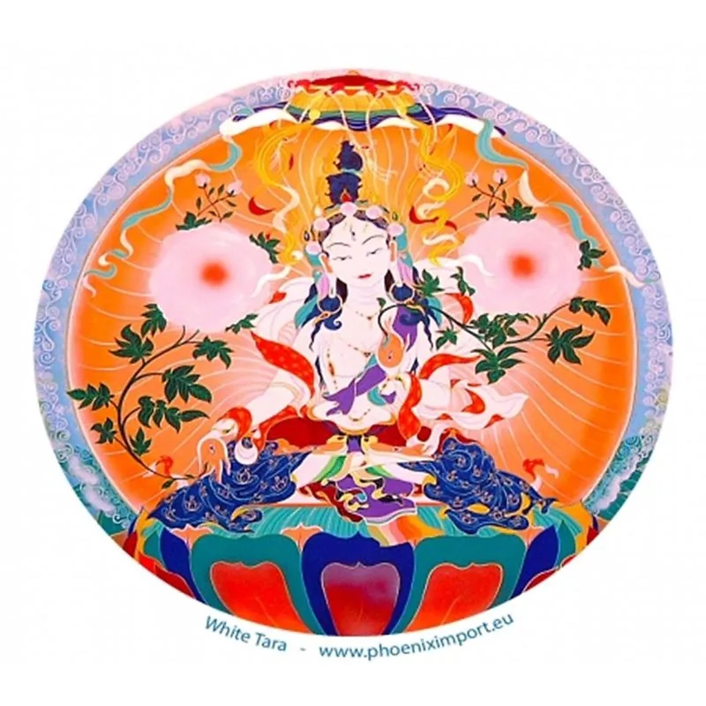 Adhésif verre/fenêtre Tara Blanche | 11.7cm