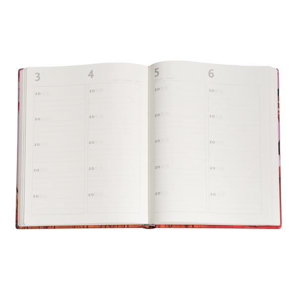 Carnets Souvenirs 5 Ans - Kikka - Ultra - Carnets 5 Ans