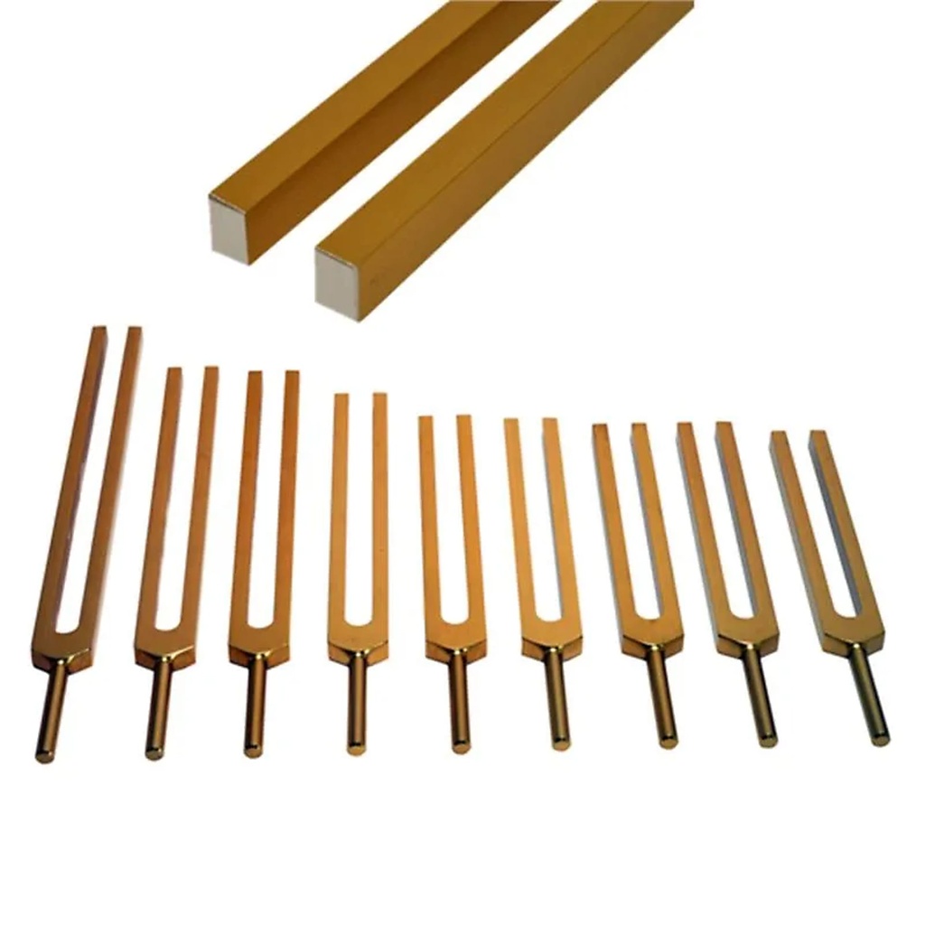 Set Diapasons Solfège Sacrés 9 pièces | 17 cm