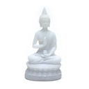 Bouddha statuette avec Amrita | 16 cm