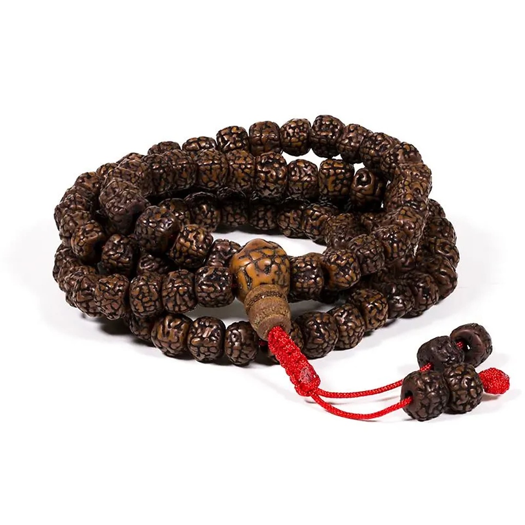 Malra Rudraksha poliee 108 perles | 0.8 cm