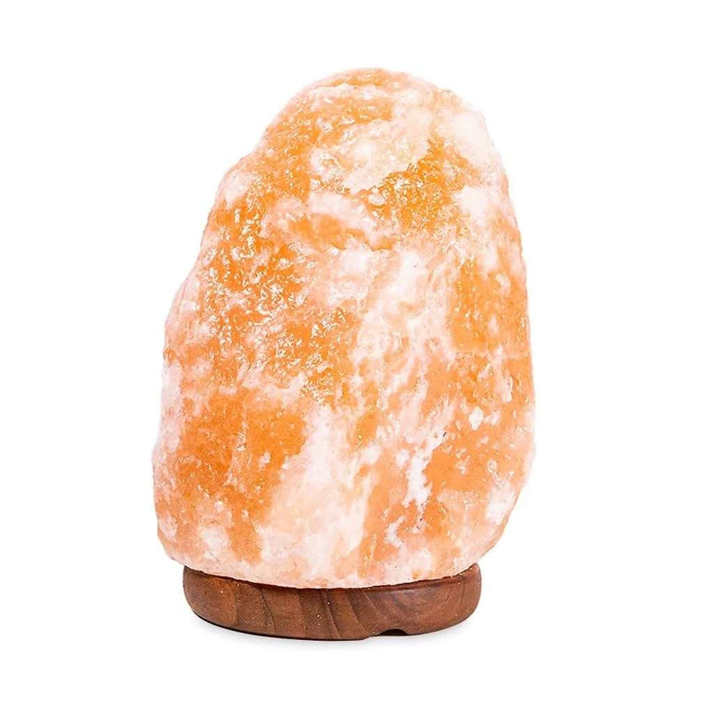 Lampe en cristal de sel + câble à prise et LED | 2000-3000g