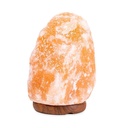 Lampe en cristal de sel + câble à prise et LED | 2000-3000g