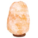 Lampe en cristal de sel +câble à prise et LED | 5500-10000g