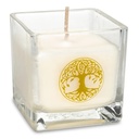 Bougie parfumée à la cire de colza Arbre de vie  | 6x6x6cm