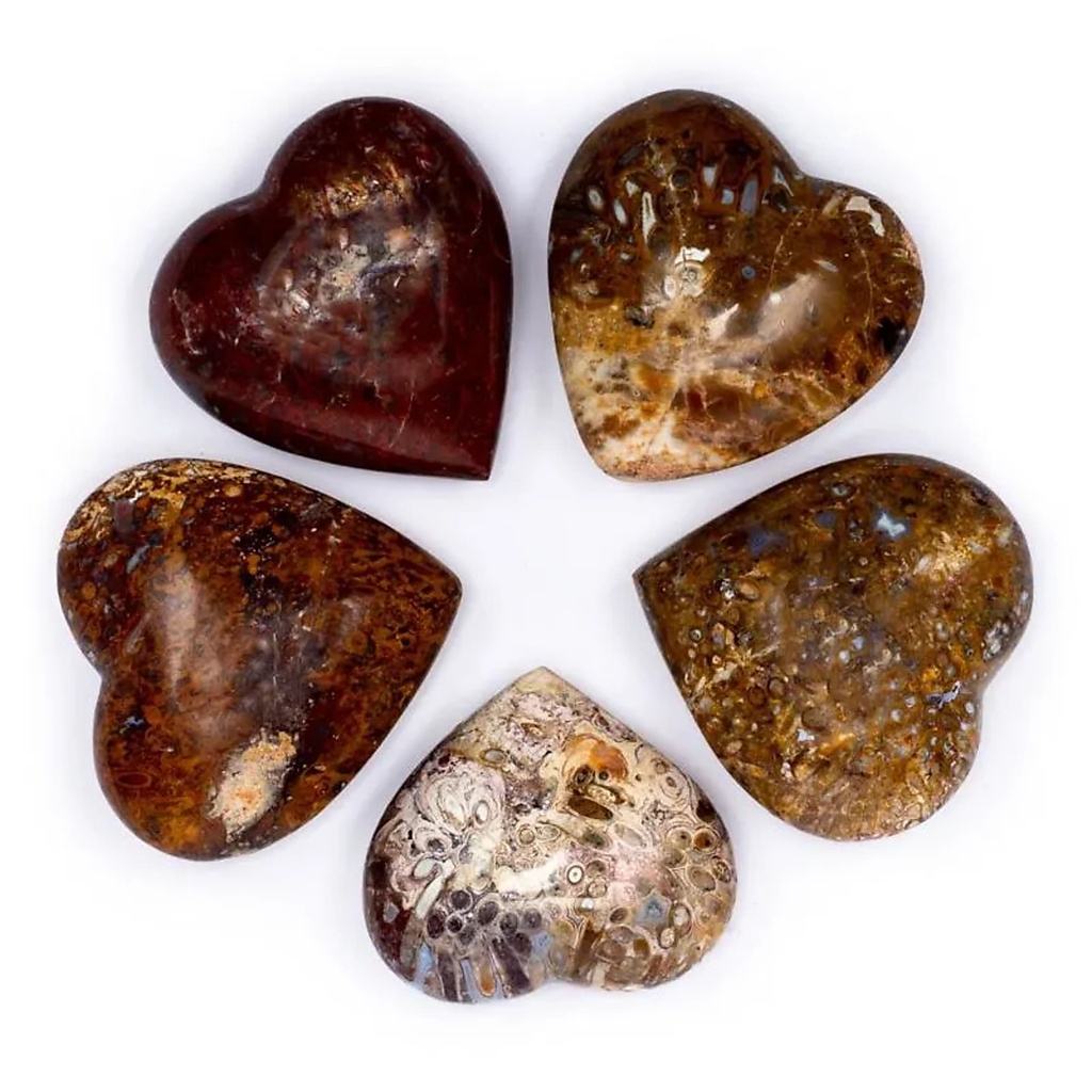 Pierre du souci coeur en Stromatolite | 5 cm