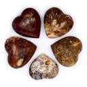 Pierre du souci coeur en Stromatolite | 5 cm