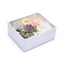 Coffret avec 5 roches en cristal minéral | 8.5x10x4 cm
