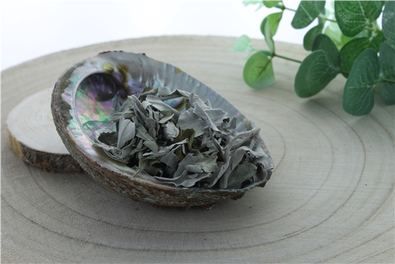 Sauge Blanche Green Tree Feuilles Sachet de 50 g