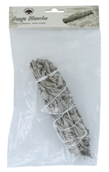 Sauge Blanche Green Tree Bâton purificateur Moyen modèle