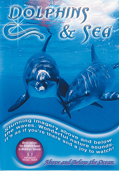 Dolphins And Sea