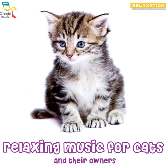 Relaxing Music for Cats