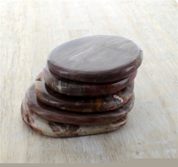 Smooth Stone Bois Fossile/Silicifié