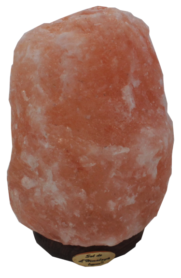 Lampe en Cristal de Sel - Pièce de 4 à 6 kg