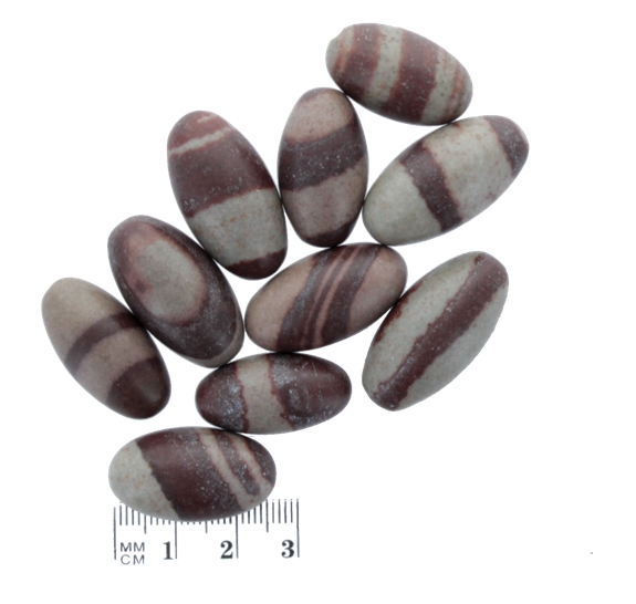 Sachet Lingams Qualité Extra - 2,5 cm