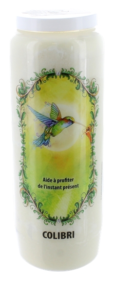 Neuvaine animal totem - Colibri