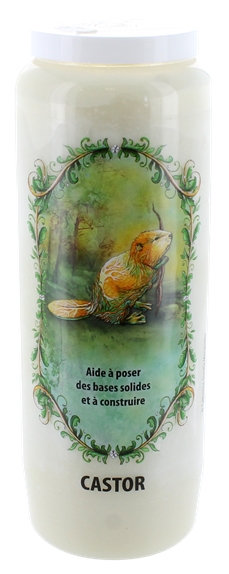 [3660341618073] Neuvaine animal totem - Castor