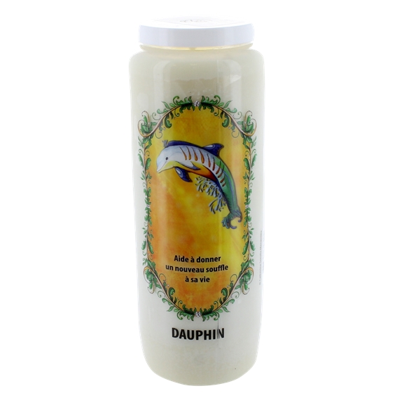 Neuvaine animal totem - Dauphin