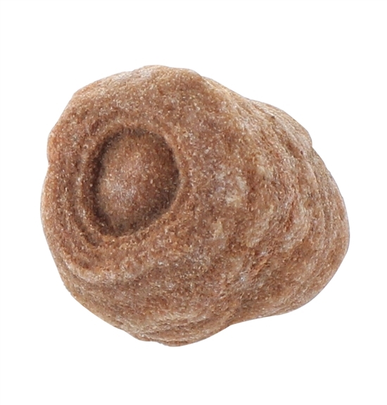 Oeil des Sables - PM - Pièce < 80 Gr