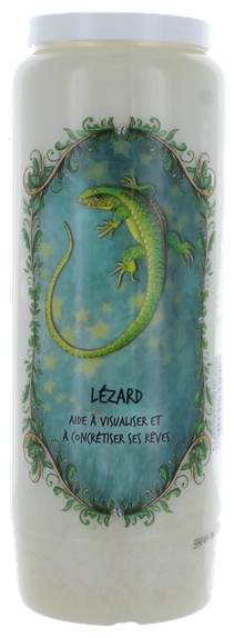 Neuvaine animal totem - Lézard