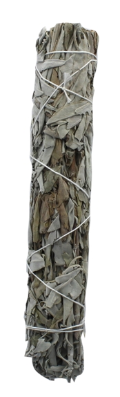 Sauge Blanche Green Tree Bâton purificateur Grand modèle