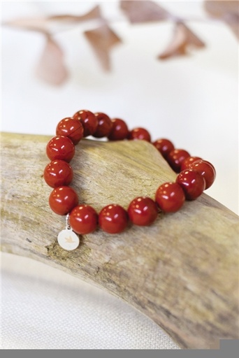 [3660341693339] Bracelet Jaspe Rouge Perles rondes 10 mm