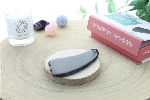 [3660341694404] Gua Sha Palme en Obsidienne Noire