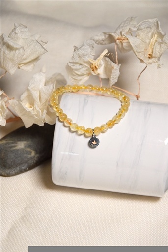 [3660341697986] Bracelet Citrine Perles Rondes 6 mm