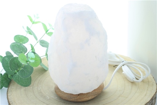 [3660341698402] Lampe en Cristal de Sel Blanc 2 à 3 kg