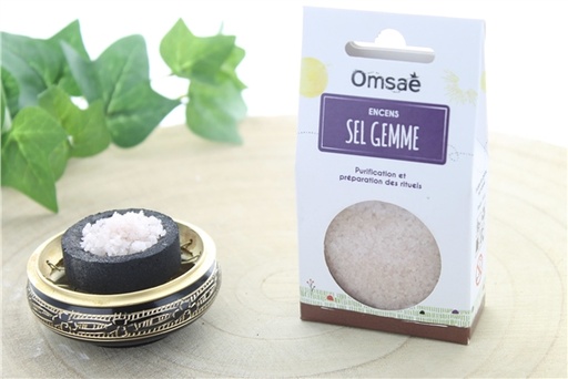 [3660341701140] Encens en grains sel gemme 50 g