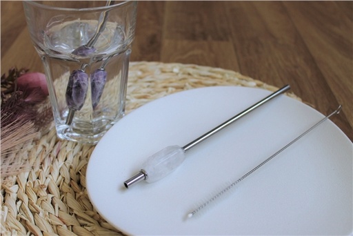 [3660341705391] Paille en métal Cristal de Roche