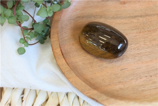 [3660341705544] Pierre roulée Oeil de Tigre Taille L