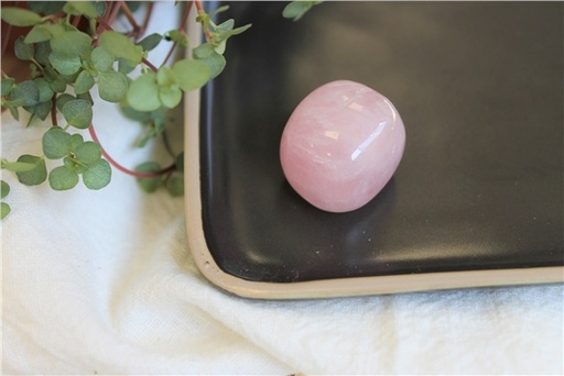 [3660341705551] Pierre roulée Quartz Rose Taille L