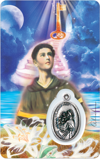 [6268977022058] Médaille sur carte Saint-Antoine