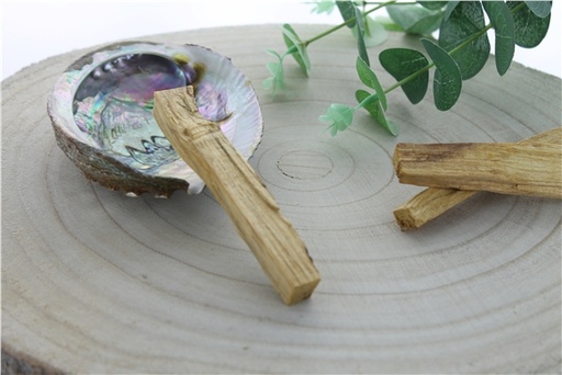 [7756991000040] Palo Santo Green Tree  Bâtonnets Sachet de 100 g