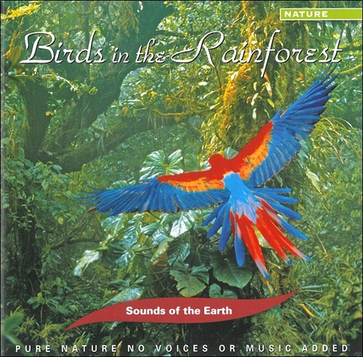 [8711913554529] Birds in the Rainforest