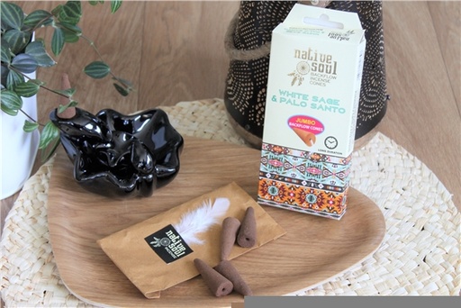 [8901684617404] Encens Cône Cascade Green Tree Native Soul Sauge Blanche Palo Santo