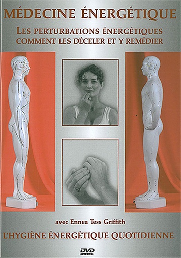 [9782351950180] Les perturbations énergétiques