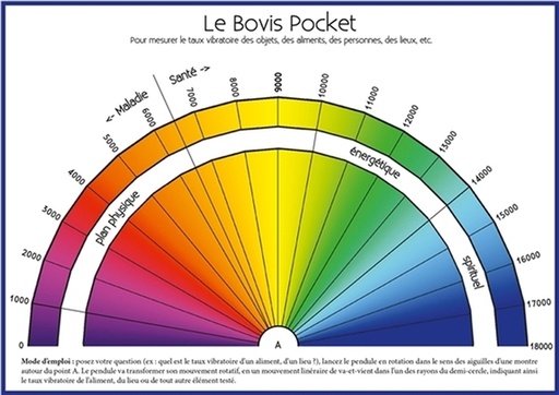 [9782351953150] Planche Le Bovis Pocket - A6