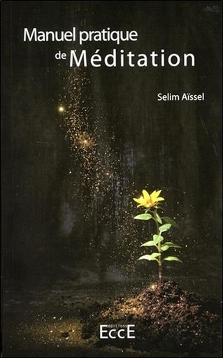 [9782351953303] Manuel pratique de Méditation