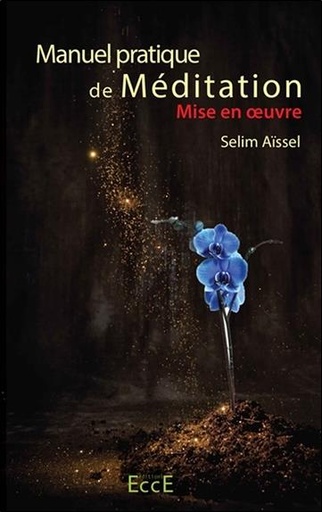 [9782351953556] Manuel pratique de Méditation - Mise en oeuvre