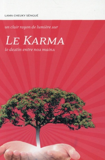 [9782354540210] Le Karma - Le destin entre nos mains