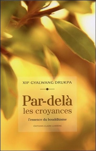 [9782354540340] Par-delà les croyances - L'essence du bouddhisme