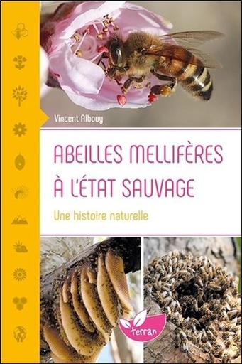 [9782359811155] Abeilles mellifères à l'état sauvage - Une histoire naturelle