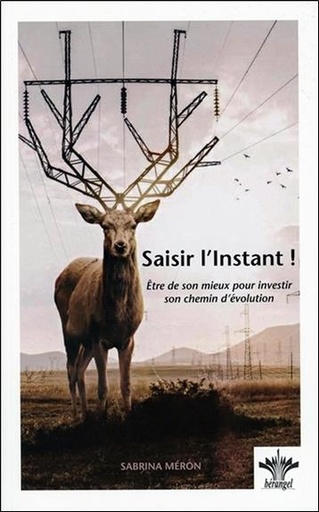 [9782370660329] Saisir l'Instant ! Etre de son mieux pour investir son chemin d'évolution