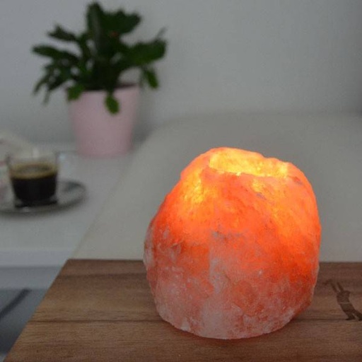[3700643505623] Bougeoir en Cristal de Sel Himalaya Rock 500g