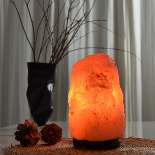 [3700643505425] Lampe en Cristal de Sel d'Himalaya de 2 à 3 kg  